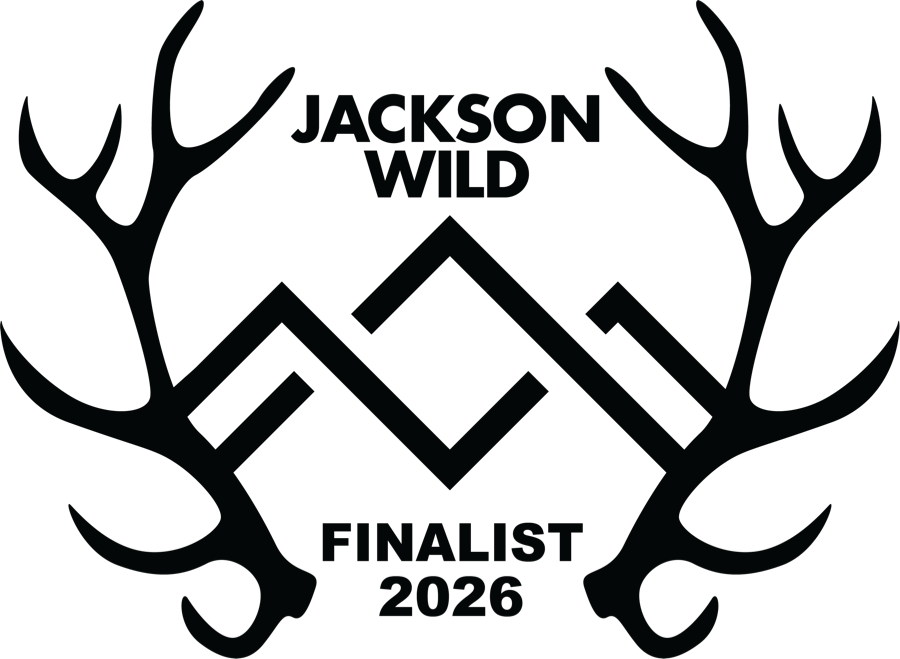 Jackson Wild finalist, 2026