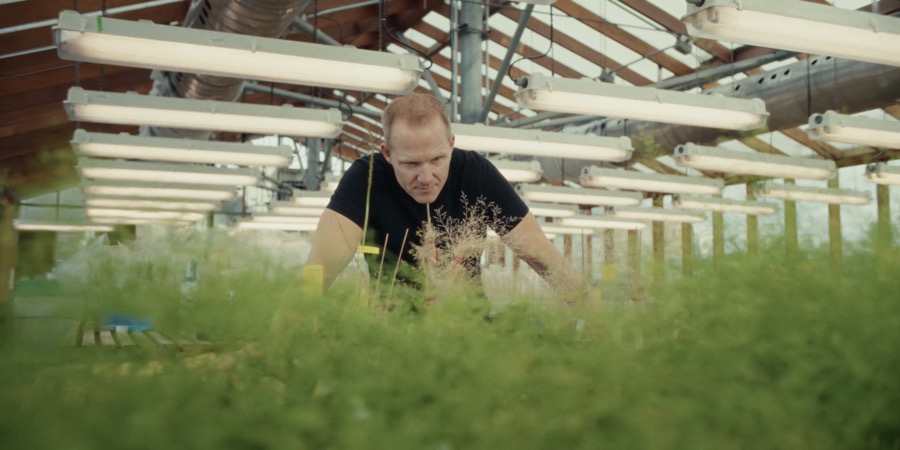 Dr. Wolfgang Busch in the Salk greenhouse