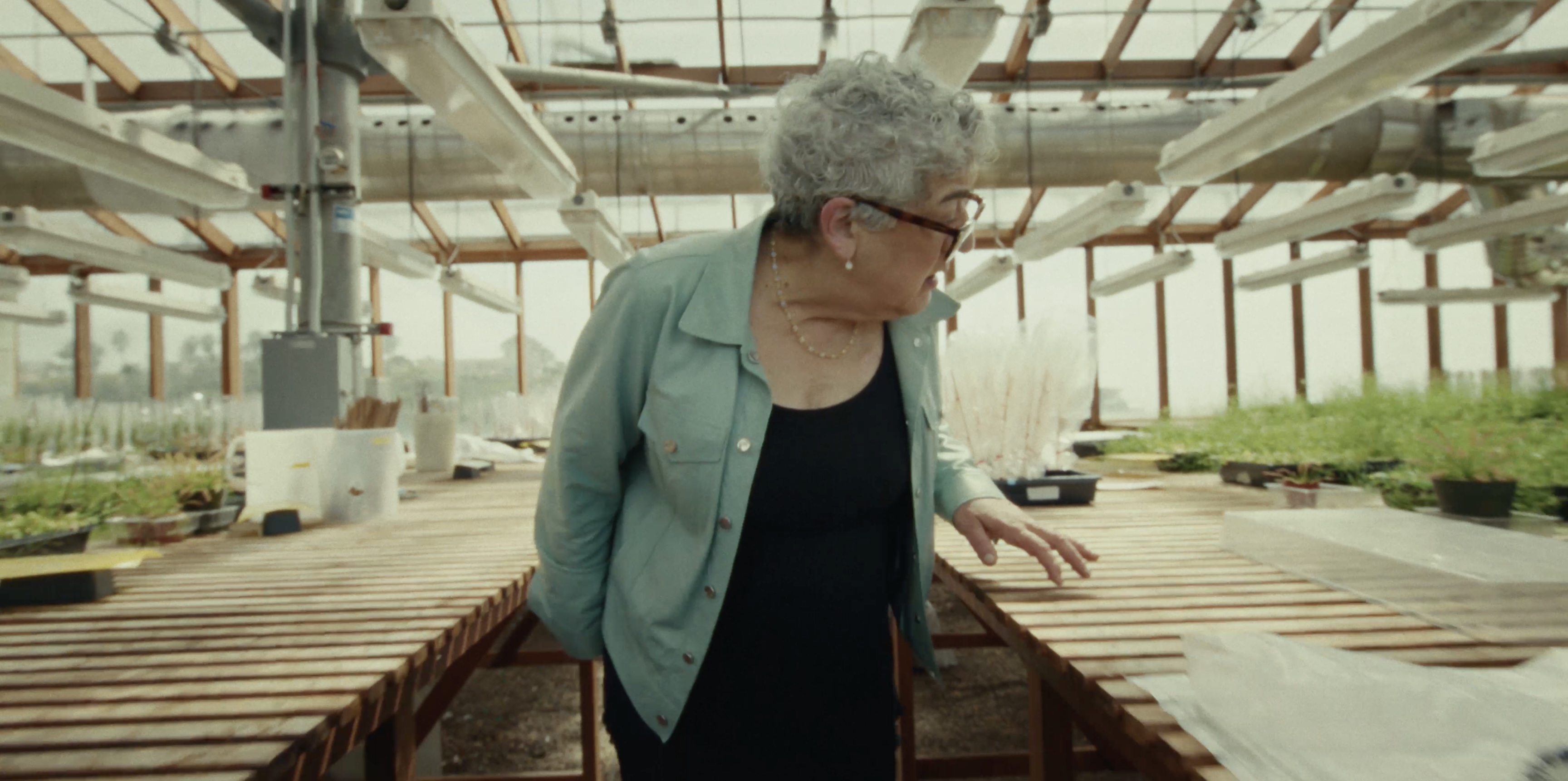 Dr. Joanne Chory walks through a greenhouse and examines plants